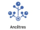 ancetres